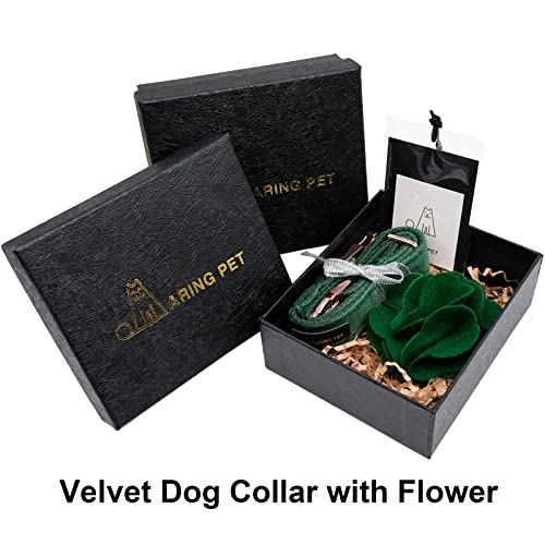 ARING PET Velvet Dog Collars, Dark Green Soft Pet Collar with Detachable Felt Flower Metal Buckle for Puppy Small Medium Large Boy Girl Dogs-XS - color: F-Dark Green, size: X-Small (Pack of 1)
