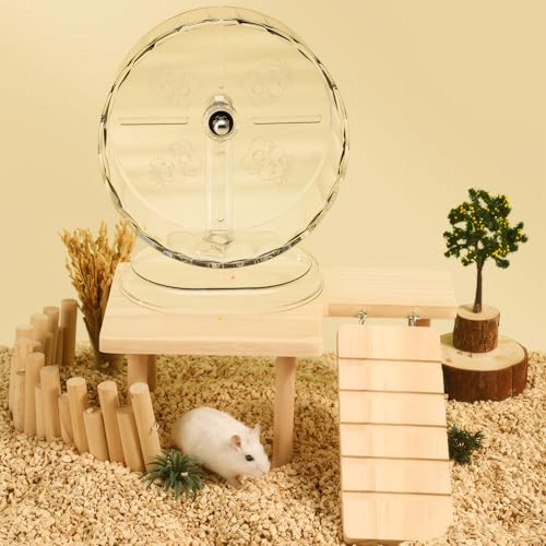 7.1in Small Hamster Wheel for Dwarf Hamsters (7.1inch) | 7.1 inch exercise wheel designed for dwarf hamsters. Smooth, quiet spinning for safe night time running. Easy to clean - size: 7.1inch