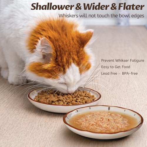 WROSWT Clock Cat Food Bowl,Non-Slip Silicone Bottom Cat Bowls for Indoor Cats,Anti Whisker Fatigue Cats Dishes Set,Shallow Wide Kitten Plates for Food and Water,3 Pack - size: Clock-3 Pack