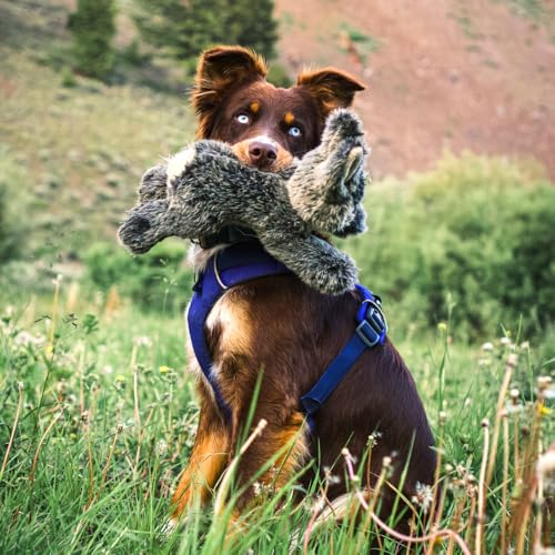 Fluff & Tuff Walter Wabbit Plush Dog Toy – 2 Pack, 12” Durable Stuffed Rabbit Dog Toy with Squeaker, Double-Stitched & Non-Toxic, Soft Yet Tough Plush for Dogs - size: 12 Inch (Pack of 2)