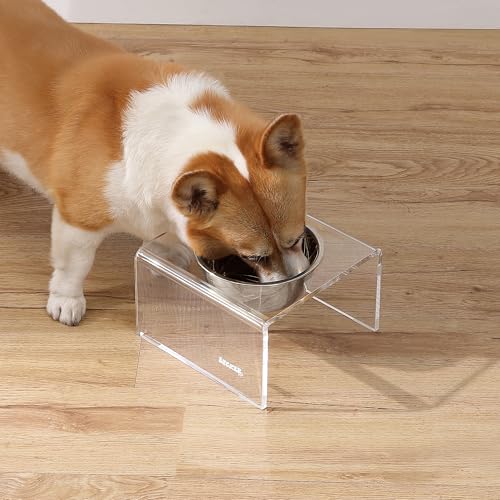 DBL2002A Keaton 5" Small/Medium Modern Acrylic Rectangular Elevated Pet Feeder with 20oz 1-Stainless Steel Bowl, Clear/Chrome - color: Clear/Chrome, size: 20 Ounces (5" Cups 1-Pack)
