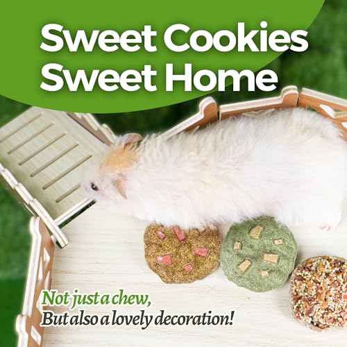 TEEWY Cookie Guinea Pig Toys, Natural Vegetables, Fruits and Timothy, Hamster Chew Toys for Teeth, Hamster Chews for Guinea Pig, Gerbil, Chinchilla and Rat, 3PCS - style: 3PCS-Cookie