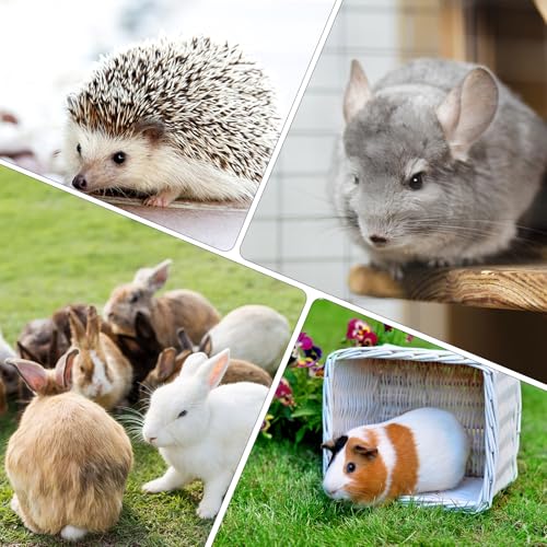 6 Pack Pet Cage Mats 13.3"x9.8" Plastic Leak-Proof Floor Pads with Buckle (Blue/Pink/White) for Rabbits, Guinea Pigs Small Animals