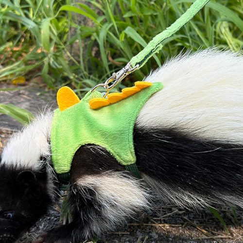 Ferret Harness and Leash Set Small Animals Vest Harness with Safe bell Dinosaur Shaped Walking clothes for Baby Rabbit Guinea pig Teacup Chihuahua Mouse and other small pet(Green Dinosaur) - color: Green Dinosaur