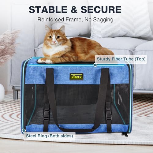 Small Dog Carrier 20"x13"x13", Foldable Soft Pet Travel Bag | Spacious soft-sided carrier with breathable mesh, sturdy frame and foldable design. Fits small pets up to 25 lbs for travel. - color: Blue, size: 20x13x13 In