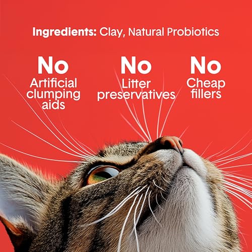 Boxie Extra Strength Clumping Cat Litter Multi Cat 35 Day Odor Control 16lb - size: 16 lb