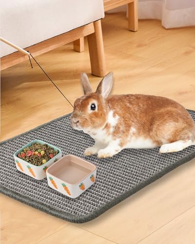 JanYoo 2pcs Bunny Scratch Pads Natural Sisal Rabbit Scratching Pad Bunny Scratcher Mat Resting Mats for Cages, Small Animal Claws and Teeth Care Bedding Accessories for Guinea Pig (15.7x11.8in, Grey) - color: 2-Grey