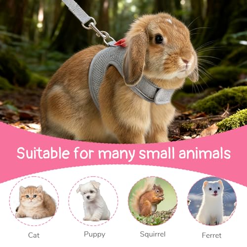 Bunny Harness and Leash Set, Cute Bow Rabbit Vest Soft Breathable Mesh Rabbit Leash and Harness Set Escape Proof Walking Gear for Rabbits, Ferrets, Kittens, Guinea Pigs, Grey M