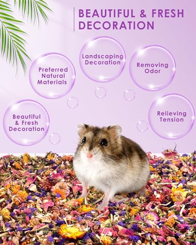 Bissap Natural Flower & Herb Hamster Bedding 300g/10.5oz, Small Animal Flower Habitat Decor for Syrian Dwarf Hamster Gerbil Chinchilla Mice Degu and Other Small Pet Flower Bedding Odor Control Forage