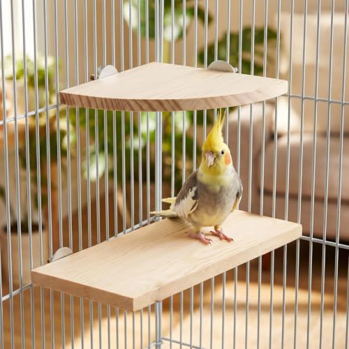 Bird Perch, 3 Pack Bird Playground Woodern Hamster Platform, Cage Accessories for Chinchilla, Parrot, Ferret, Rat, Budgie, Cockatie, Guinea Pig (2*Sector+ Rectangle) - color: 2*Sector+ Rectangle