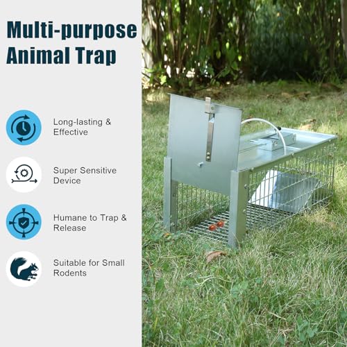 Live Animal Cage Trap, Heavy Duty Humane Cage Trap for Squirrels, Chipmunks, Rabbits, and Small Rodents, Safely Catch & Release - 1 Trap