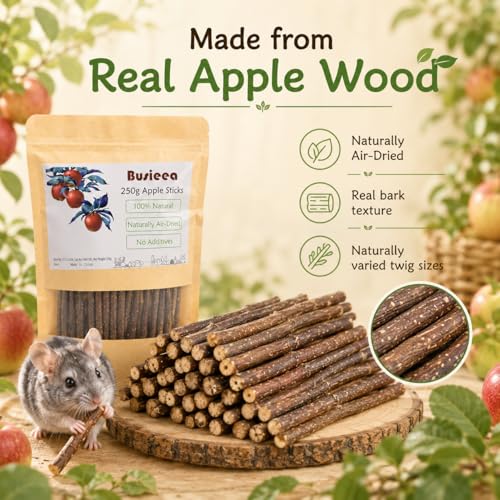 Premium Natural Apple Sticks - 100g/3.52 OZ MINI Trial Pack - Perfect for 1 Pet, Molar Chew Treats for Rabbits Chinchillas Guinea Pigs Hamsters Small Animals - size: 3.6 Ounce (Pack of 1)
