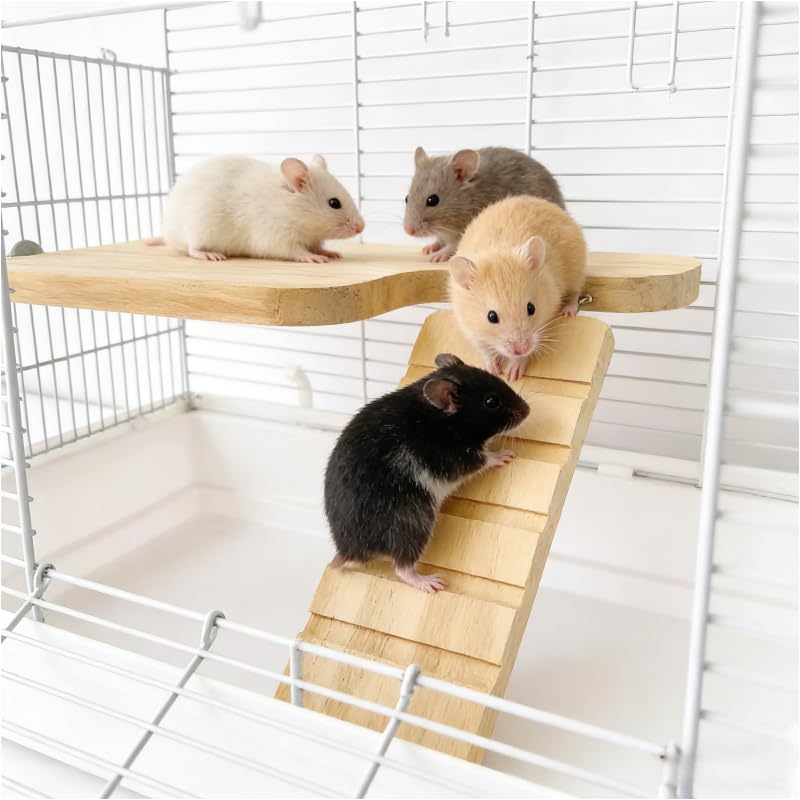 Hamster Wooden Platform Tunnel Ladder Hideout Playhouse Hamster Game Climbing Toy with Cage Accessories for Small Pets Dwarf Syrian Mice Degus Gerbils Squirrel (Lullaby)
