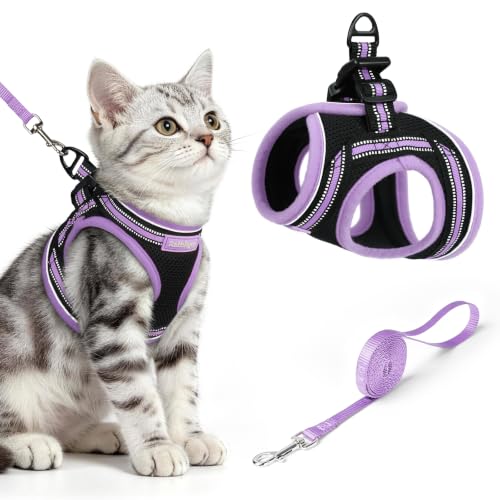 rabbitgoo Cat Harness and Leash Set, Step-in Soft Vest, Black-Light Purple | Escape Proof, Lightweight, Easy-on & Adjustable, Hook & Loop with Buckle, Reflective, for Kittens & Small Cats Walks, M - color: Black-Light Purple, size: M