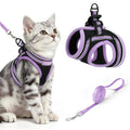 rabbitgoo Cat Harness and Leash Set, Step-in Soft Vest, Black-Light Purple | Escape Proof, Lightweight, Easy-on & Adjustable, Hook & Loop with Buckle, Reflective, for Kittens & Small Cats Walks, M - color: Black-Light Purple, size: M