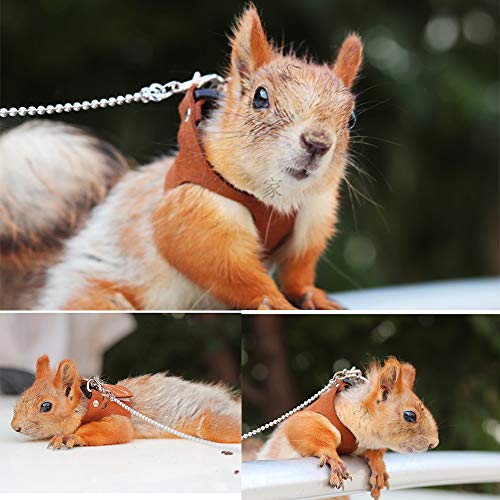 Squirrel Traction Rope Strap Anti-Bite Chain Rope, Adjustable Vest,Black | Small Animal Walking Harness with Lead Leash/ No Neck Strain/ Stress-Free& Soft/ Hamster Gerbil Rat Mouse Ferret Chinchilla - color: Black