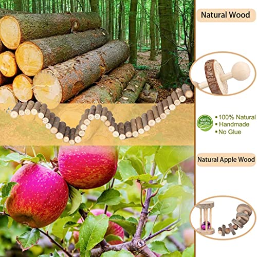 Hamster Accessories - Guinea Pig & Chinchilla Chew Toys - Suspension Bridge Set - Willow Ball & Stuff for Dwarf Syrian Chinchillas & Gerbils