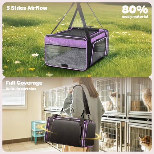 Top and 2 Sides Expandable Cat Carrier 18x13.5x9.5 TSA Airline Approved | Dog Carriers for Small Dogs, Soft-Sided Pet Carrier, Anti-Scratch Mesh, Lockable Zippers, for Kitten, Rabbit, Puppy, Purple - color: Purple, size: 18.0"L x 13.5"W x 9.5"H