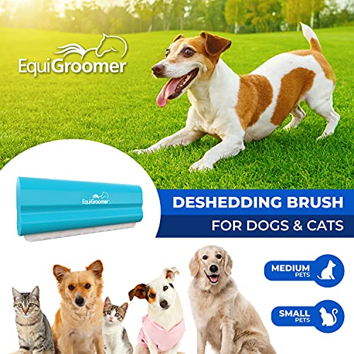 EquiGroomer 5-Inch Undercoat Deshedding Brush for Dogs & Cats, Turquoise | Best for dogs up to 100 lbs and cats of any size, short or long hair, stainless blade, no cutting or pulling - color: Turquoise, size: 5 Inch