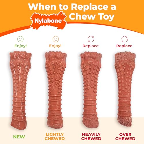 Nylabone Power Chew Textured Bone Dog Toy, Peanut Butter Flavor, X-Large | Durable dog toys, long lasting, discourages destructive chewing, teeth-cleaning texture, flavor throughout, for dogs 50+ lbs - size: X-Large