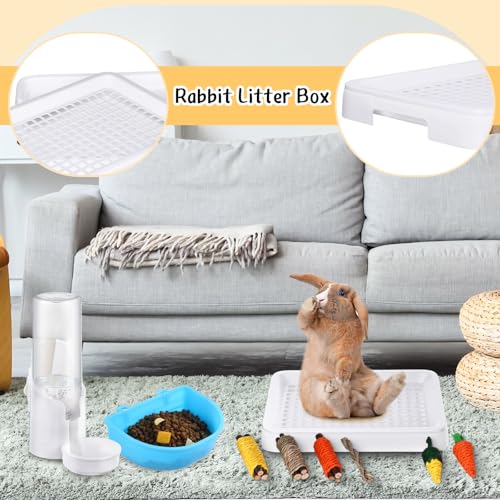 19 Pcs Rabbit Starter Kit Small Bunny Litter Box Animal Grooming Kit Water Bottle Bunny Toys Hay Feeder Bowl Blankets with Cleaning Set for Guinea Pig Rabbit Accessories (White) - color: White, style: Strawberry Bear