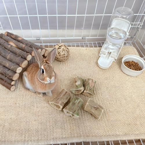 Bunny Chew Toys for Teeth Guinea Pig Treats Papaya Wood for Rabbit (3.5oz) | bunny supplies,rabbit enrichment toys,rabbit stuff,for bunny guinea pig chinchilla Hamster rabbit toys for bunnies boredom - size: 3.5oz（C）