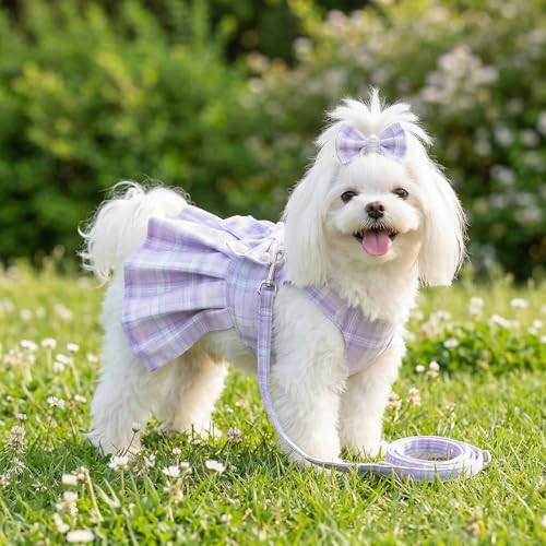 Cute Plaid Dog Dress Clothes for Small Dogs Cats Girl Purple Plaid Dog Dress with Pearls Bow Tie Harness Leash for Spring Summer Birthday Puppy Bunny Rabbit Yorkies Chihuahua Outfits - size: M