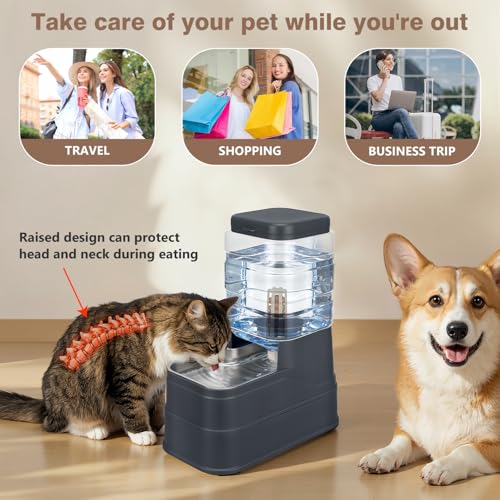1.6 Gallon Pet Automatic Dog Water Dispenser Cat Gravity Waterer Feeder with Stainless Steel Bowl 8L Large Capacity Puppy Feeding Raised Bowls with Filter,Ice Pack (Charcoal Gray, 6L(1.6 Gallon)) - color: Charcoal Gray, size: 6L(1.6 Gallon)