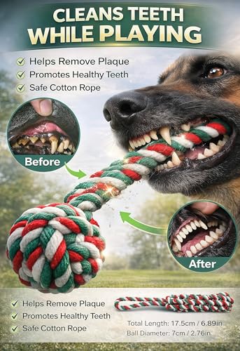 HOPET Dog Outdoor Bungee Hanging Toy, Tether Tug of War Toys for Medium to Large Dog to Exercise, Durable Interactive Tug Toy, Dog Rope Toys - color: 1-Blue