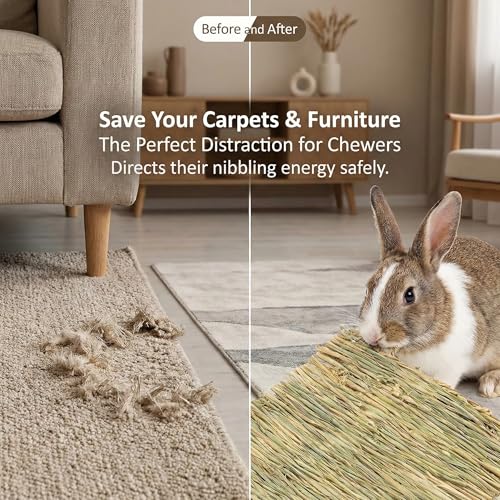 Sukh Bunny Mat - 4 Pack Natural Woven Grass Mats for Rabbits | Rabbit Mat, Cage Bed, Rabbit Bedding, Bunny Toys for Guinea Pigs, Chinchillas, Hamsters, Gerbils, Mice & Rats - size: 4 PCS