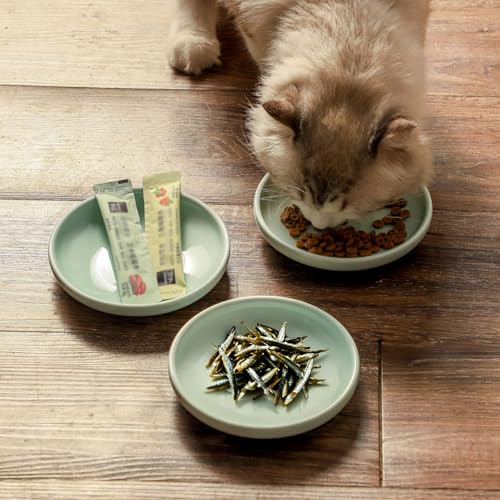 3 PCS Ceramic Cat Bowls, 5.5 in Pet Bowl Cat Dishes for Food and Water, Small Dog Dish(Blue) - color: blue