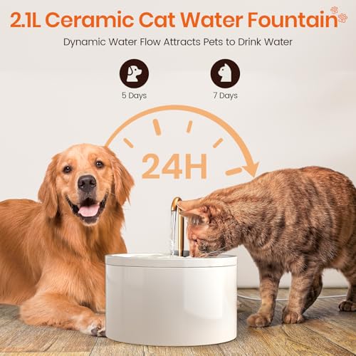 MISFANS Ceramic Cat Water Fountain, All-Ceramic Body, Pure Copper Spout | 2.1L/71oz Capacity, Under 20dB Pump, Dual Filtration, Faucet and Fountain Modes, Easy-Clean Unit, 3 Filters and Sponge, White