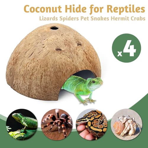 PINVNBY 4 PCS Natural Coconut Reptile Hideouts Lizard Coco Hut Hermit Crab Hut Aquarium Fish Hide Cave Spider Snail Climber Toys - size: 4 PCS Smooth Surface