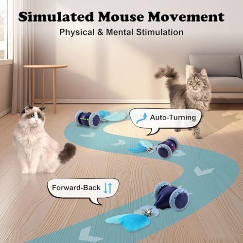 Interactive Cat Mouse Toy, Indoor Kitten Toys, Automatic Cat Wheel, Rechargeable