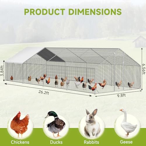 LEVELEVE Large Walk-in Chicken Coop with Chicken Run, Galvanized Poultry Enclosure with Waterproof Anti-UV Cover and Security Lock, Ideal for Rabbit, Duck, Backyard and Farm Yard，26.2'x 9.8'x 6.6' - size: 315.4"L x 117.6"W x 78.7"H