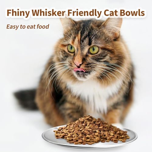 Fhiny 12-Piece Stainless Steel Cat Dish Set, 5.5" Wide, Shallow Kitten Feeding Plate, Basic Small Pet Bowl, Metal Flat Dish for Stray Cats & Dogs
