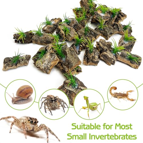 Jumping Spider Enclosure Accessories 30 Pcs Small Cork Bark for Tarantula Hide Spider Terrarium Decorations Reptiles Habitat Decor (Bark with Small Grasses)