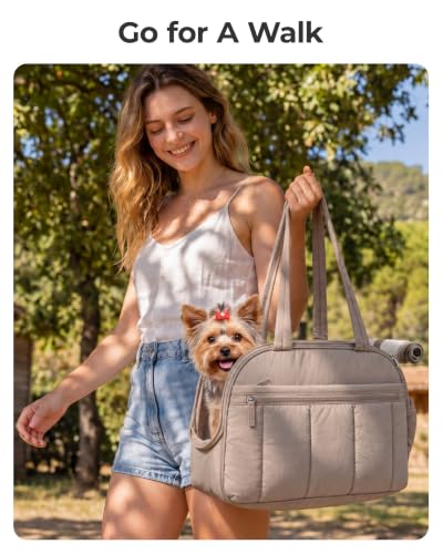 BAGSMART Dog Purse Carrier for Small Dogs Up to 13lbs Puppy Travel Tote Bag | Quilted Puffy Soft Sided Pet Handbag with Pockets, Collapsible Lightweight Portable Carrying with Safety Tether & Mat, Blue - color: Dawn Blue