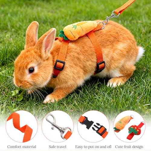 2PCS Bunny Harness and Leash Guinea Pig Leash Rabbit Bunny Leash | Kitten Harness and Leash Set for Guinea Pig Ferret Cat Puppy Duck Small Pets Outdoor Walking - style: A