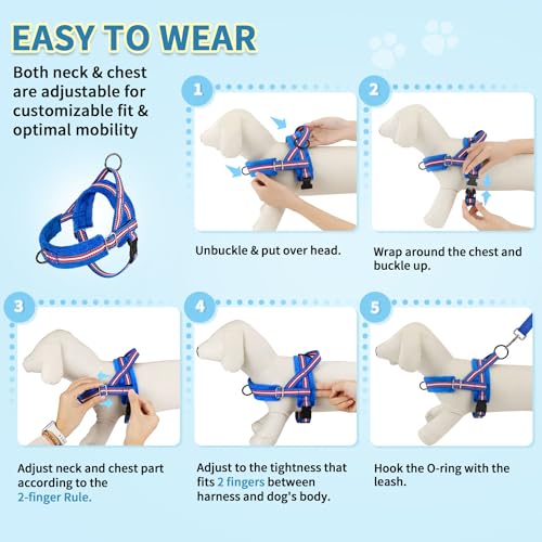 SlowTon No Pull Small Dog Harness and Leash Set with Front Clip | Soft Padded, Neck & Chest Adjustable, Lightweight, Anti-Twist, Puppy Vest Harness Pet Lead Combo for Small Medium Dog, DBL S - color: Dark Blue, size: Small