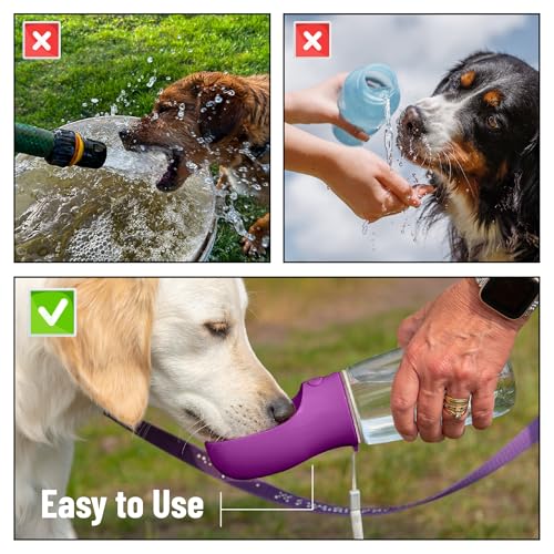 Mr. Pen- Portable Dog Water Bottle, 19 oz, Large | Leak Proof Puppy Water Dispenser with Drinking Feeder for Pets, Outdoor Walking, Hiking, Travel, Not Dishwasher Safe - color: Purple
