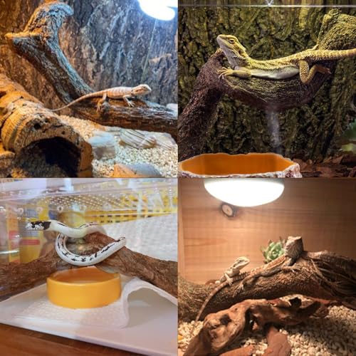 Reptile Decor 3PCS Natural Forest Branch Terrarium Habitat Decoration Lizard Climbing Tree Branch for Bearded Dragon Gecko Snake Frog Chameleon Spider