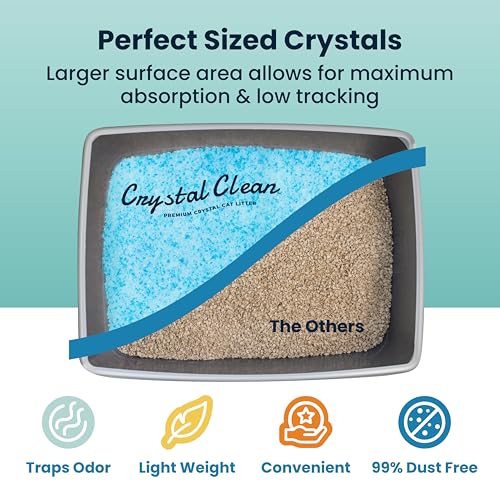 Crystal Clean Premium Fresh Scent Crystal Cat Litter with Odor Control (5X Faster), Best Lightweight, Non Clumping Kitty Litter to Absorb Urine, Dries Solid Waste (2X4.3 Lb Bags) - size: 2X4.3 Lb Bags