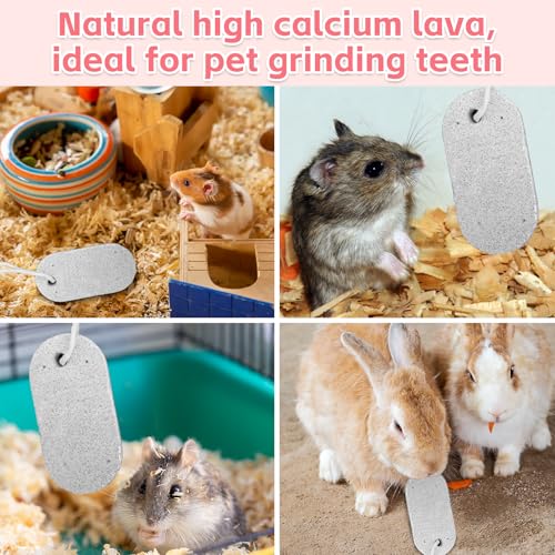 PINVNBY 15 PCS Hamster Lava Blocks, Lava Bites Chew Toys, Mineral Calcium Stone Teeth Grinding Toys for Small Animal Rabbits Guinea Pig Rats Bunny Hamsters Chinchilla - size: 15 PCS