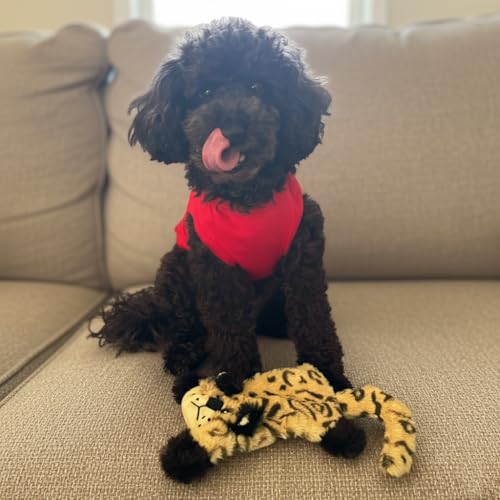 SPOT Skinneeez Flat Cat 11.5 Inch Stuffing-Free Plush Squeaky Dog Toy – Soft Interactive Toy for Mini and Small Dogs – Mess-Free Play for Light Chewers – Assorted Styles - style: Mini Flat Cat