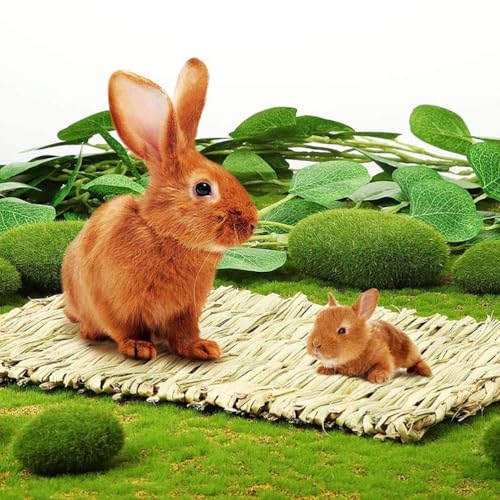 kathson 8 PCS Bunny Grass Mat Natural Woven Pet Bed Nest Mats Rabbits Chew Toys for Hamsters Parrot Rabbits Hedgehog Guinea Pig Bunny and Other Small Animals - size: 8 pcs