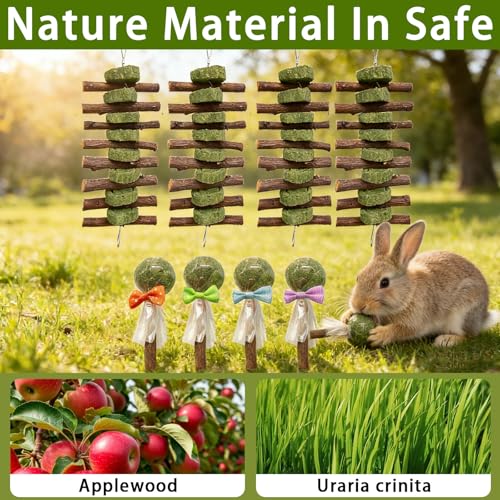Morezi Guinea Pig Toys Bunny Chew Toy Rabbit Enrichment Accessories for Bunnies Chinchillas Hamsters Mice 8 Sets