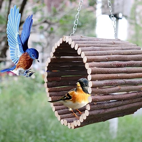 Bird Parrot Swing Toys, Hanging Bird Tree Caves, Natural Apple Wood Parrot Hammock, Bird Cage Accessories, Suitable for Little Bird Parakeets Cockatiels Lovebirds Hamster Rat (6.49" in Diameter) - color: Metal Chains Style, size: Small
