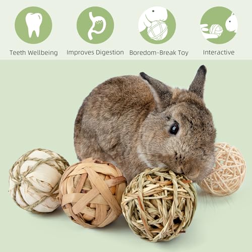 andwe Small Animals Play Balls Rolling Chew Toys & Gnawing Treats for Rabbits Guinea Pigs Chinchilla Bunny Degus - Pet Cage Entertainment Accessories (Pack of 9) - size: Pack of 9