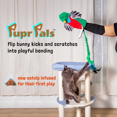Milunova Pupr Pals Cat Wrestling Glove (Catnip Infused) Hand Puppet Toy with Tough Padding for Safe Interactive Play, Protection to Stop Kitten Scratching Hands; for Boredom-Busting Exercise - style: Quetzal + Catnip